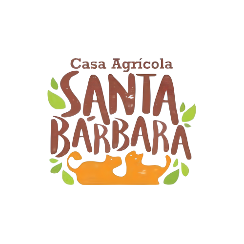 Design sem nome (38) (1)