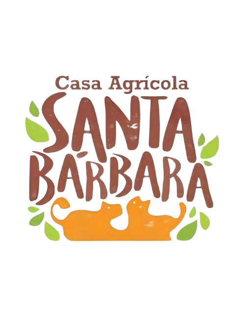 Design sem nome (38) (1)