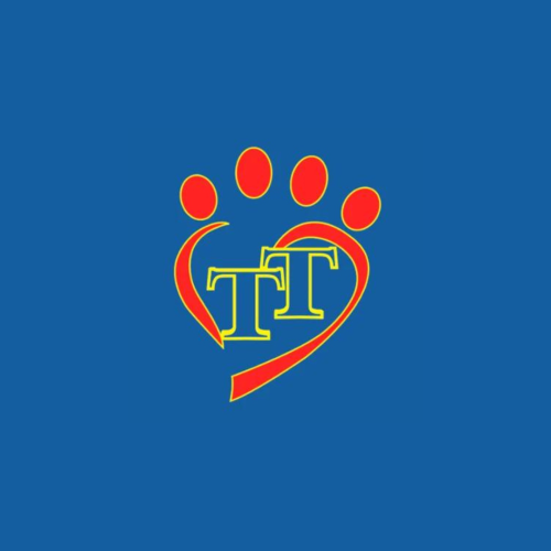 Design sem nome (60)